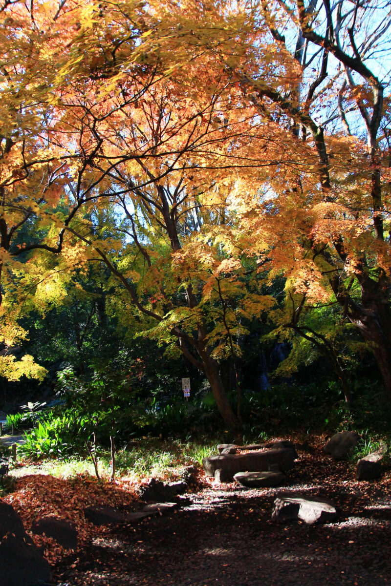 名主の滝公園　北区