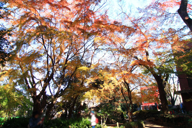 名主の滝公園　北区