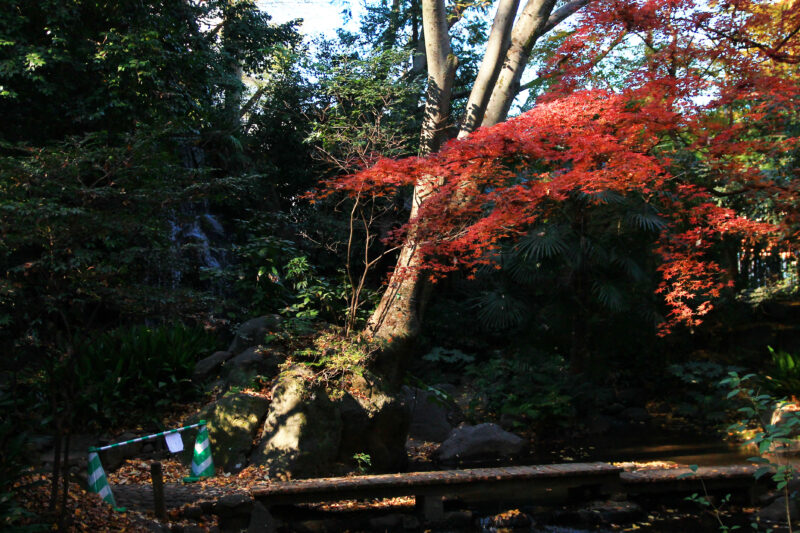 名主の滝公園　北区