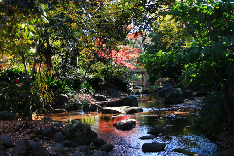 名主の滝公園　北区