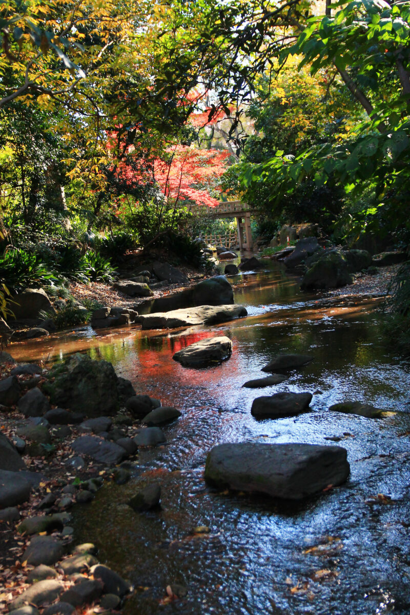 名主の滝公園　北区