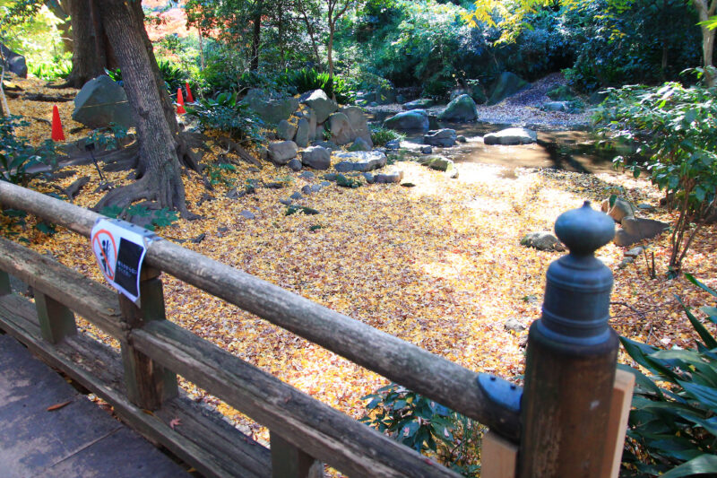 名主の滝公園　北区