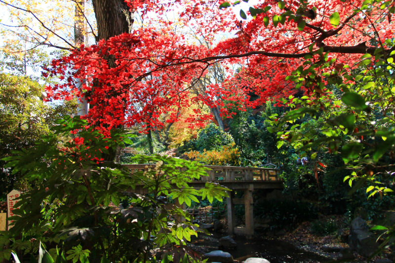 名主の滝公園　北区