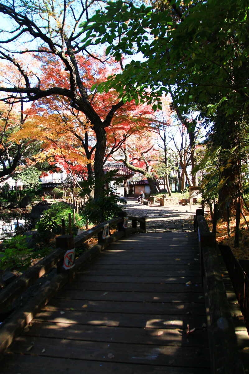 名主の滝公園　北区