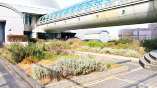 北とぴあ 屋上庭園