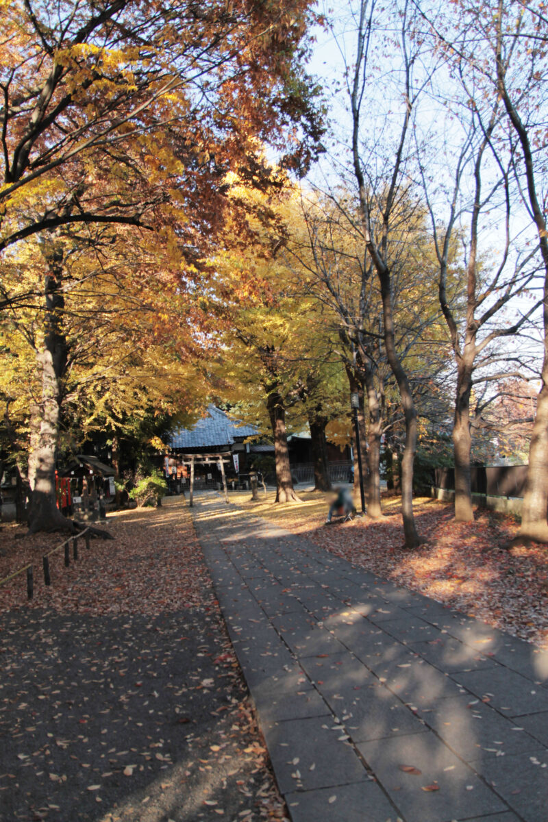 平塚神社　北区