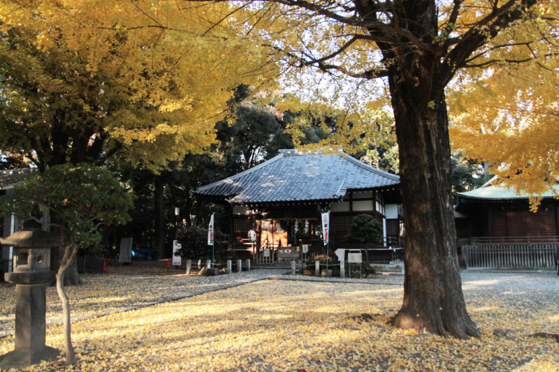 平塚神社　北区