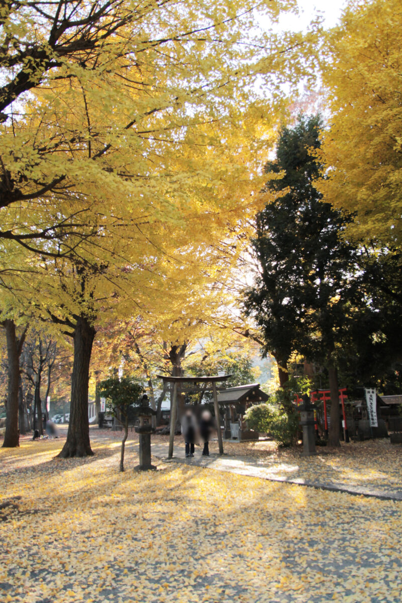 平塚神社　北区