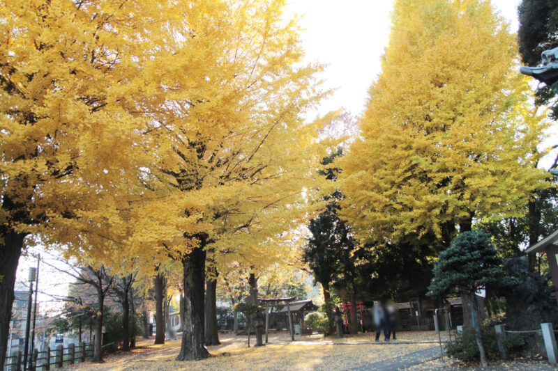 平塚神社　北区