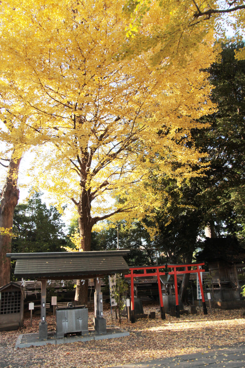 平塚神社　北区