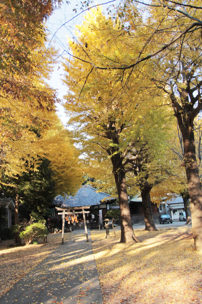 平塚神社　北区