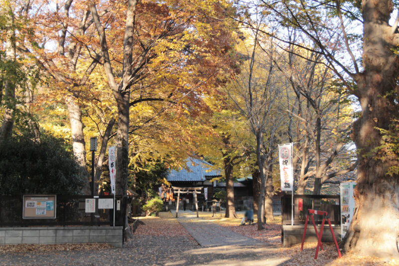 平塚神社　北区