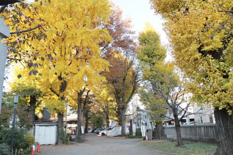 平塚神社　北区