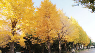 滝野川公園　北区