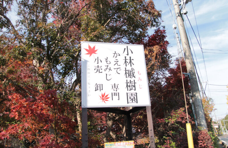 小林もみじ園　川口