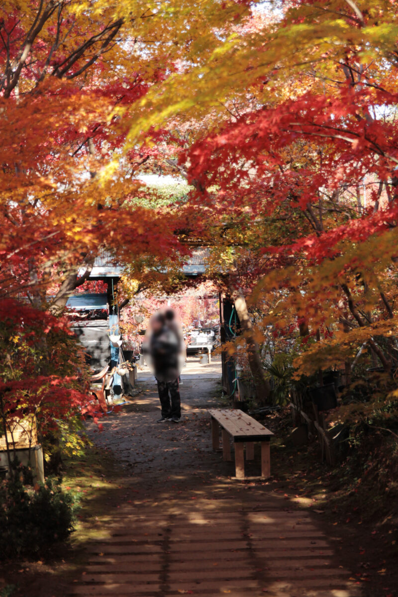 小林もみじ園　川口