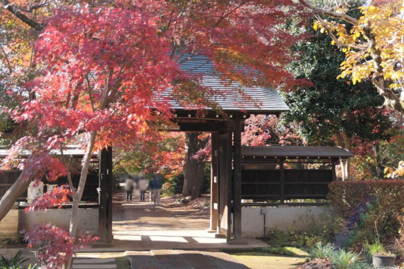 興禅院　川口