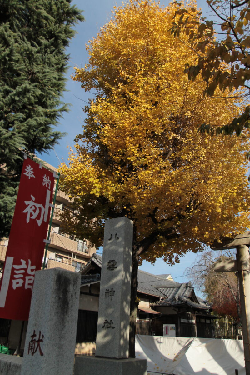 八雲神社