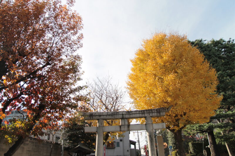 八雲神社