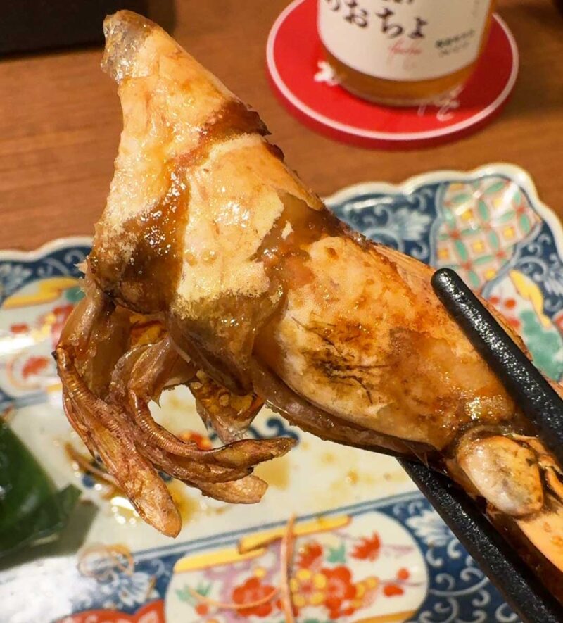 おでんと原始焼きあおちょ