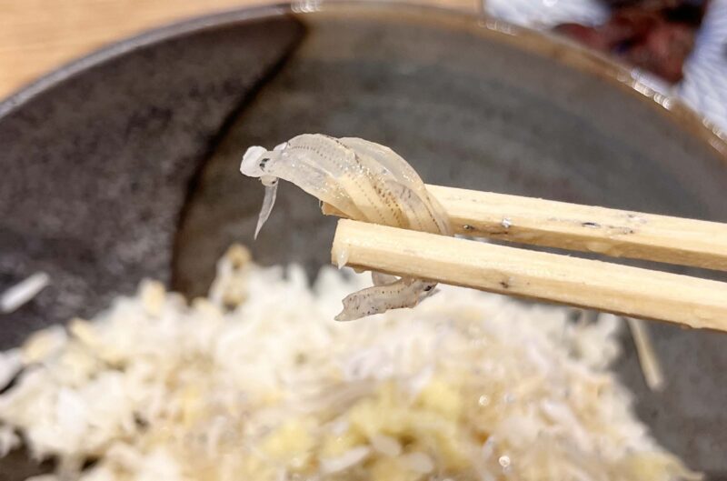 赤羽岩淵 アパホテル 土佐鶏肴ジロー