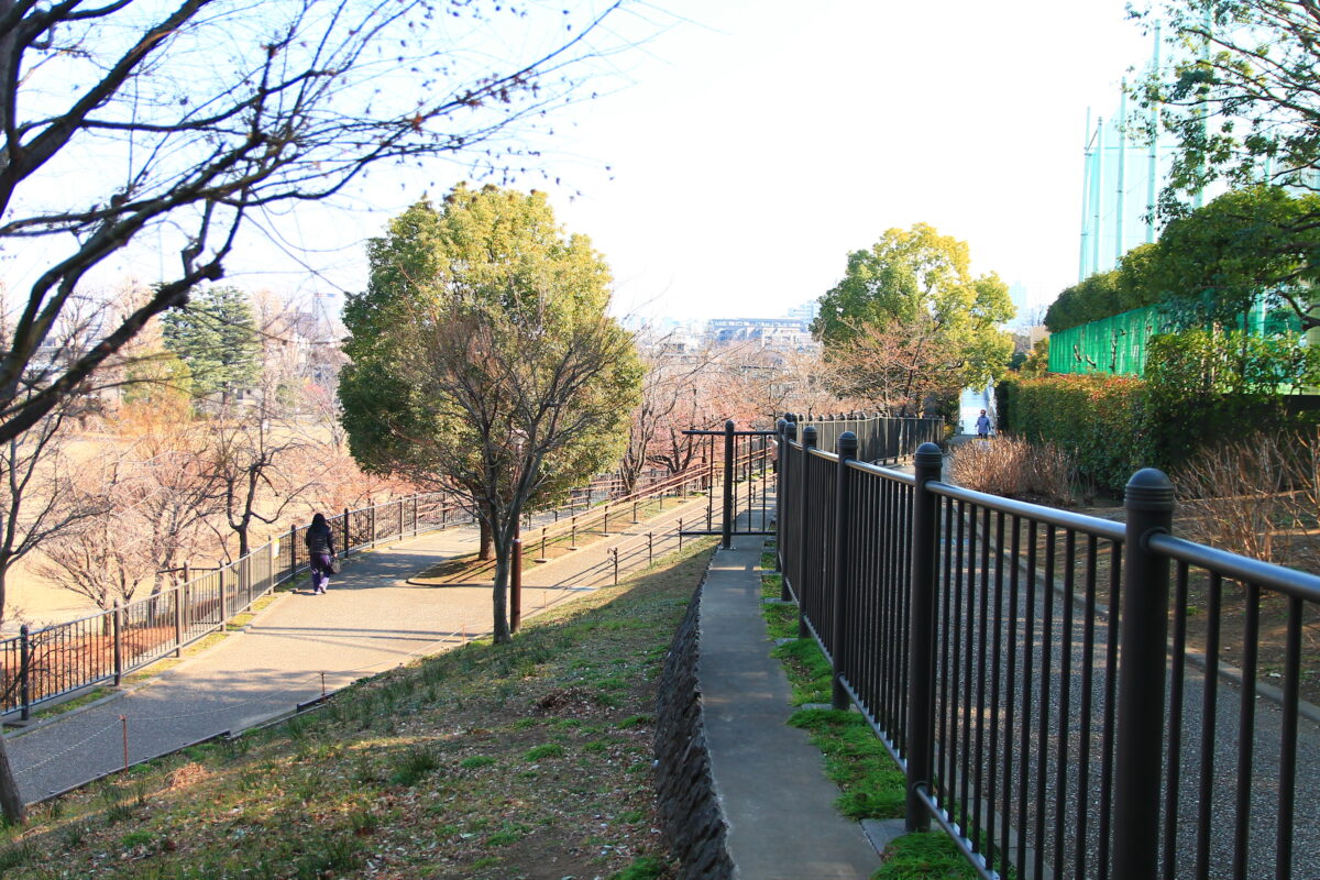 西ヶ原みんなの公園