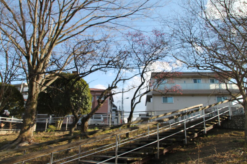 清水坂公園