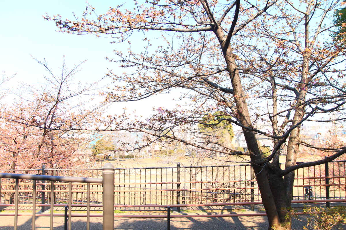 西ヶ原みんなの公園