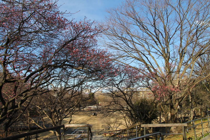 清水坂公園