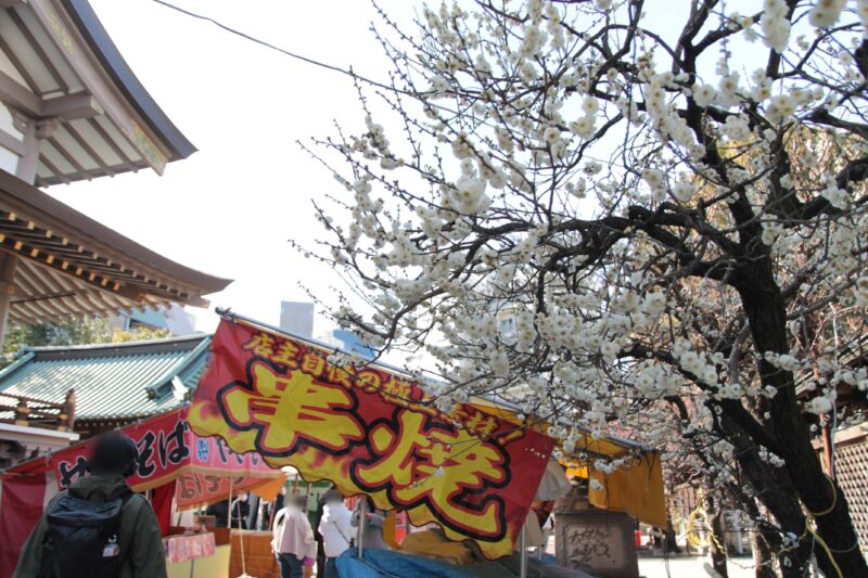 湯島天神 梅まつり