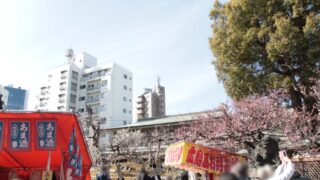 湯島天神 梅まつり