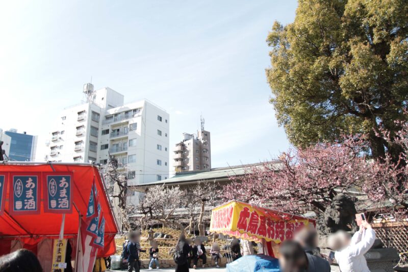 湯島天神 梅まつり