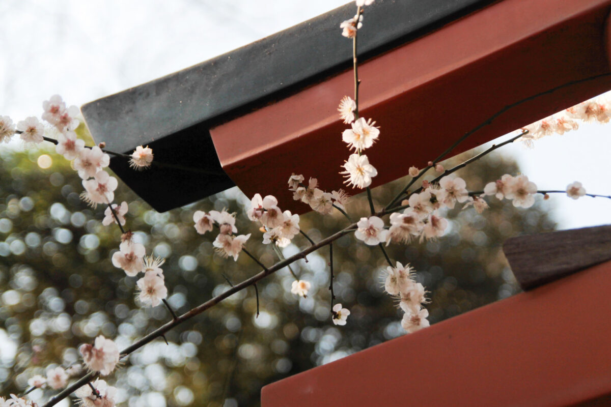 花園稲荷神社　上野公園