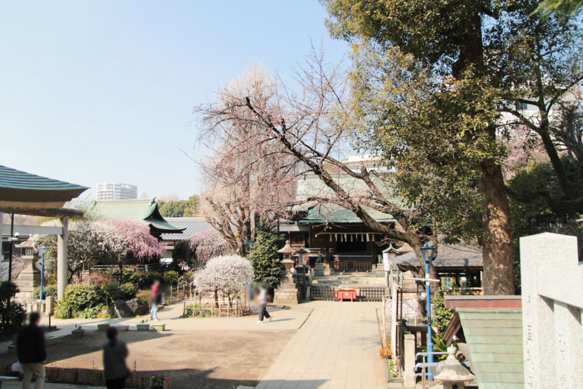 五條天神社　上野公園