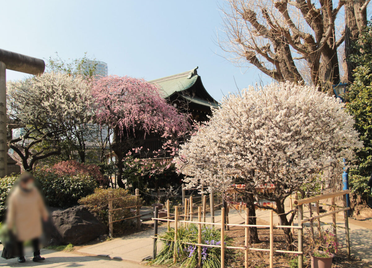 五條天神社　上野公園