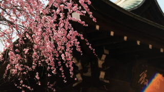 五條天神社　上野公園