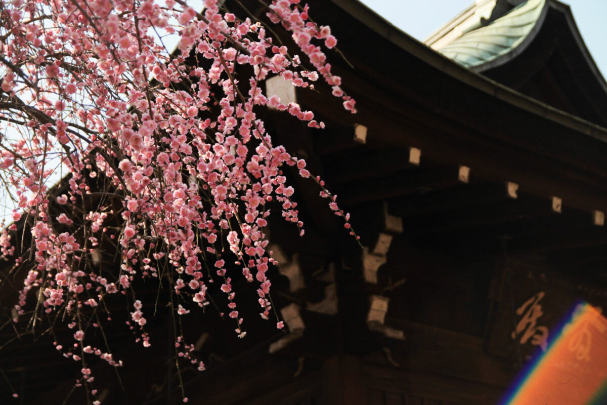 五條天神社　上野公園