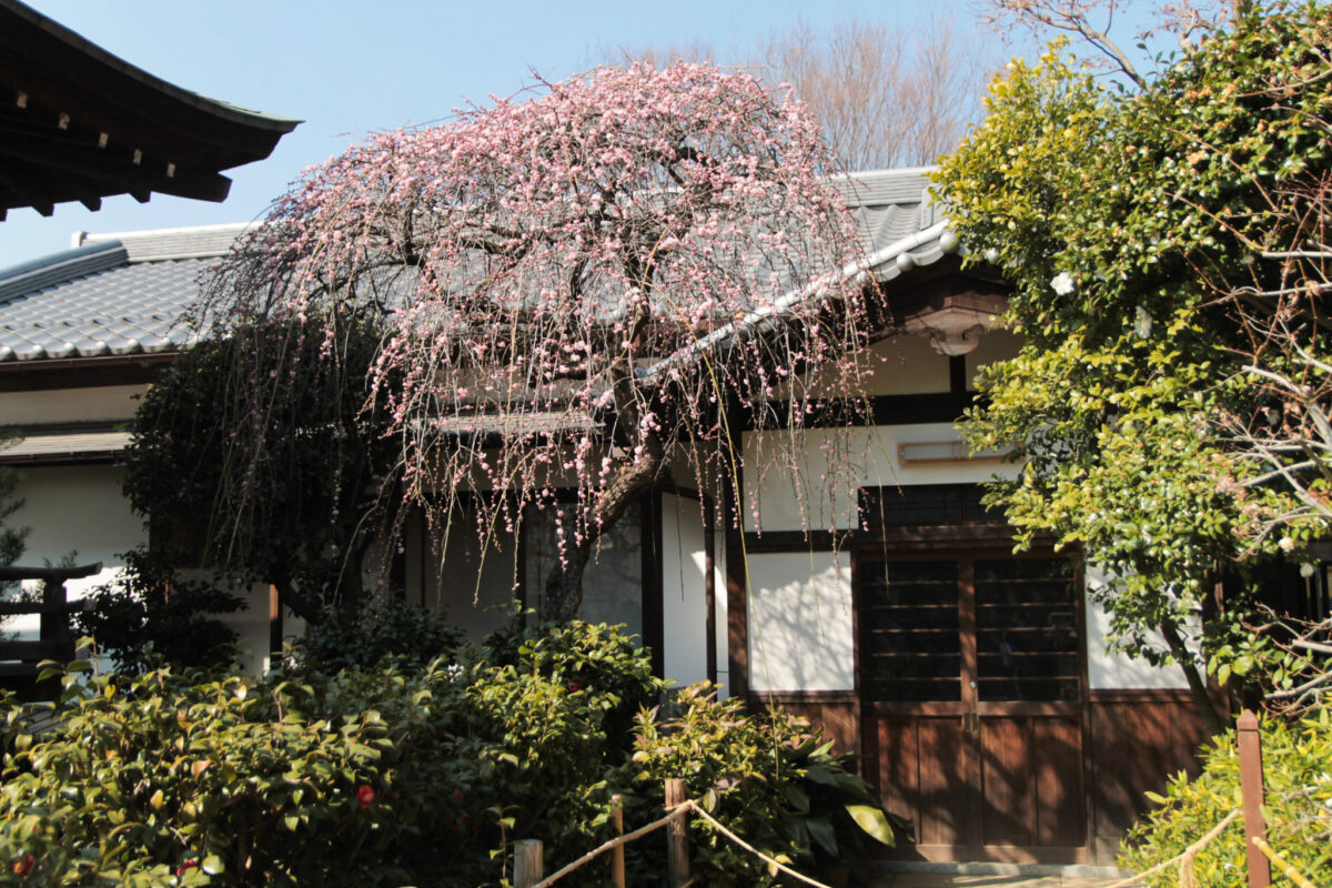 五條天神社　上野公園