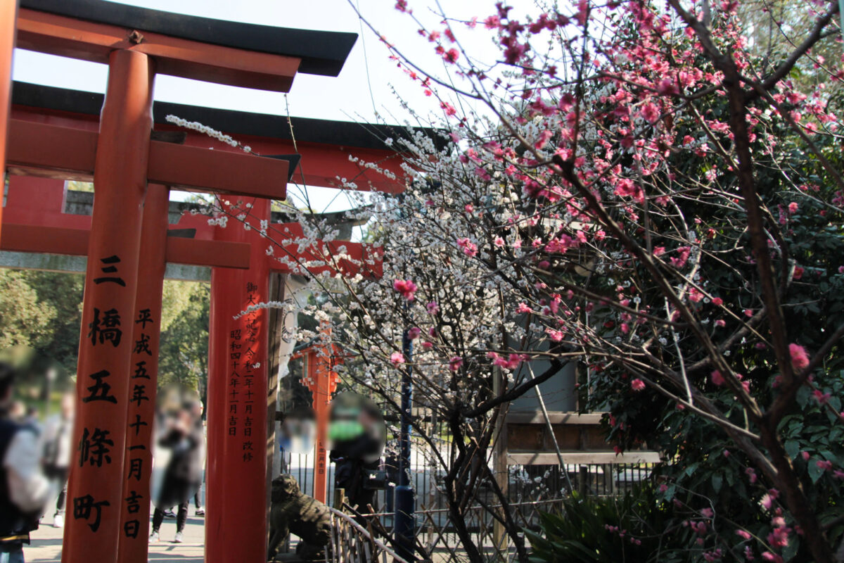 花園稲荷神社　上野公園