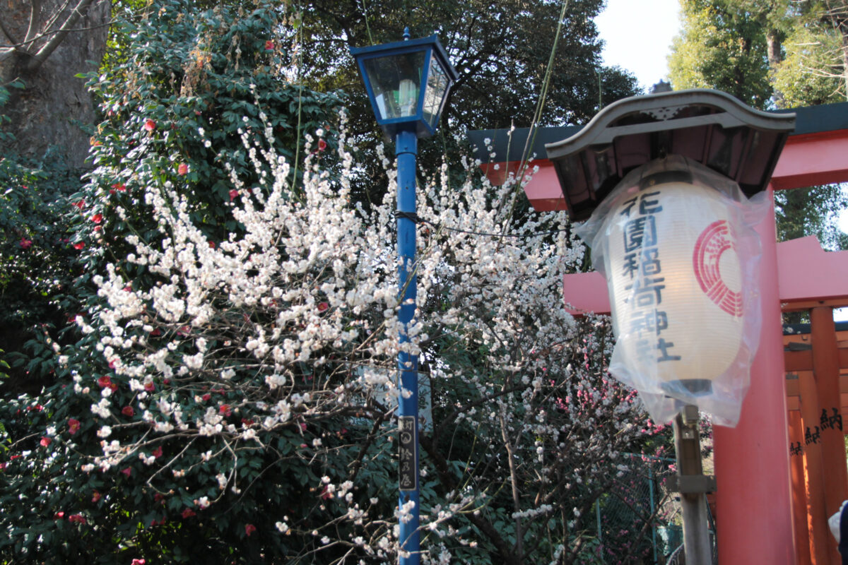 花園稲荷神社　上野公園