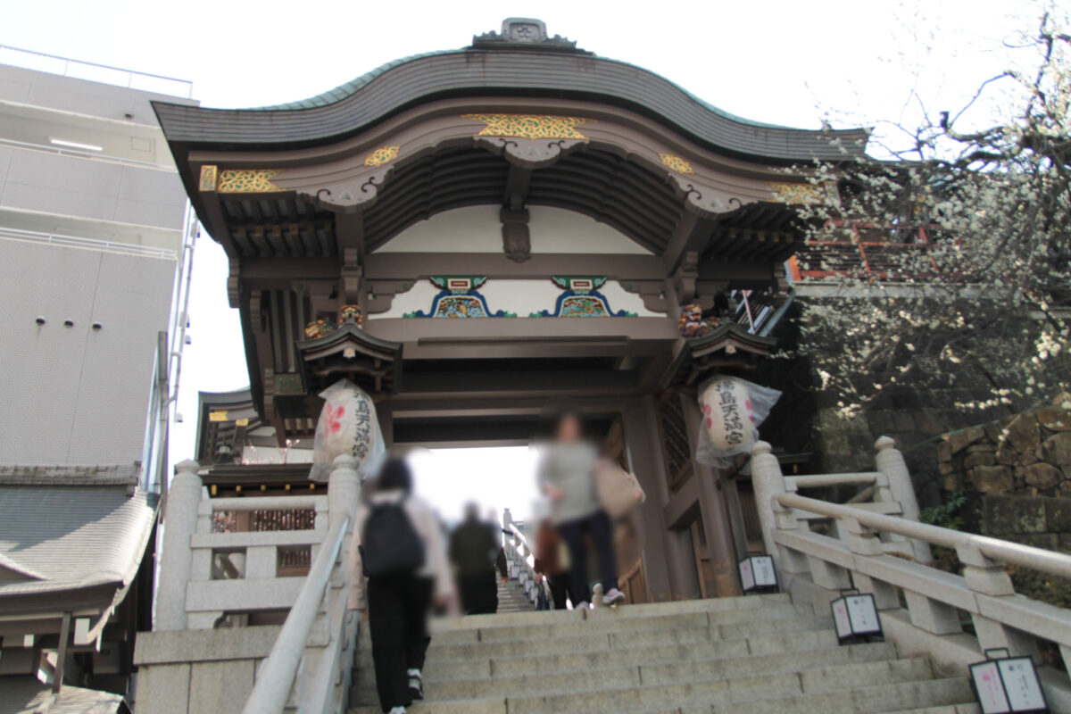 湯島天神　梅まつり