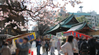 湯島天神　梅まつり