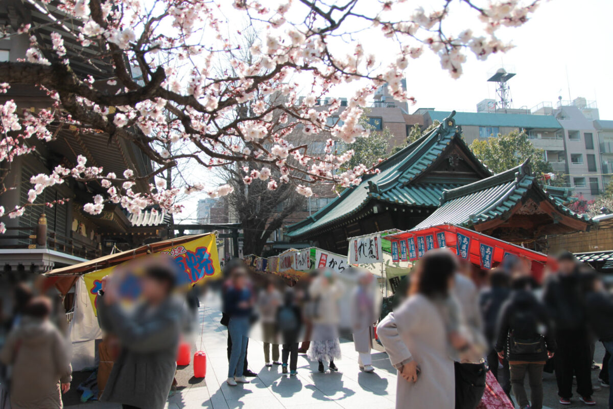 湯島天神　梅まつり