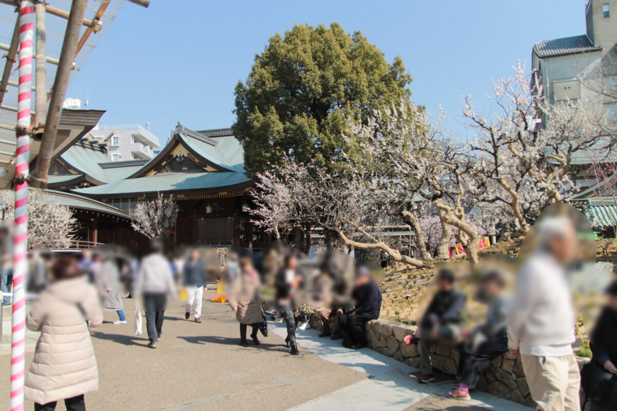 湯島天神　梅まつり