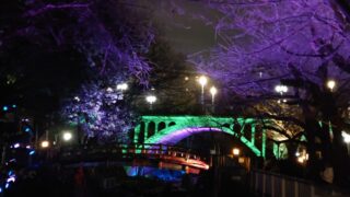 音無親水公園 春のライトアップ