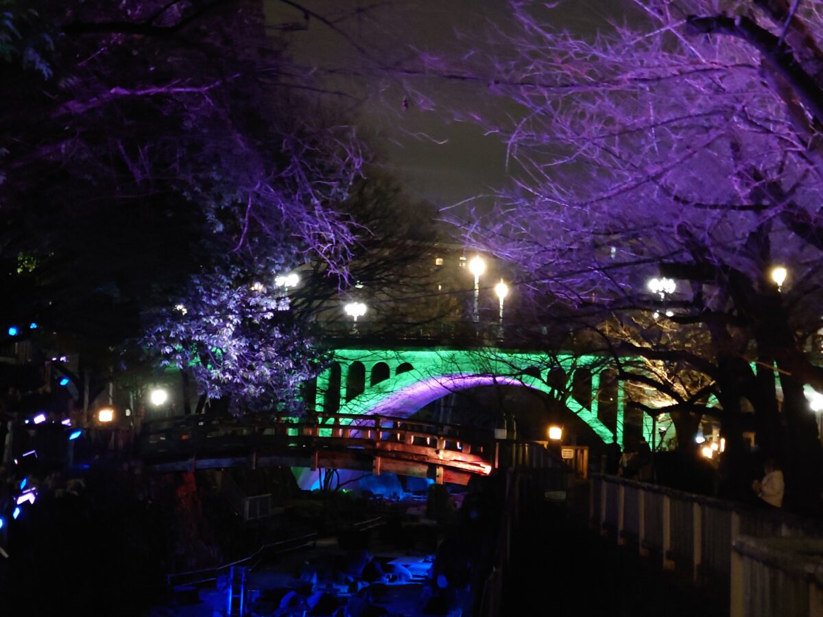 音無親水公園 春のライトアップ