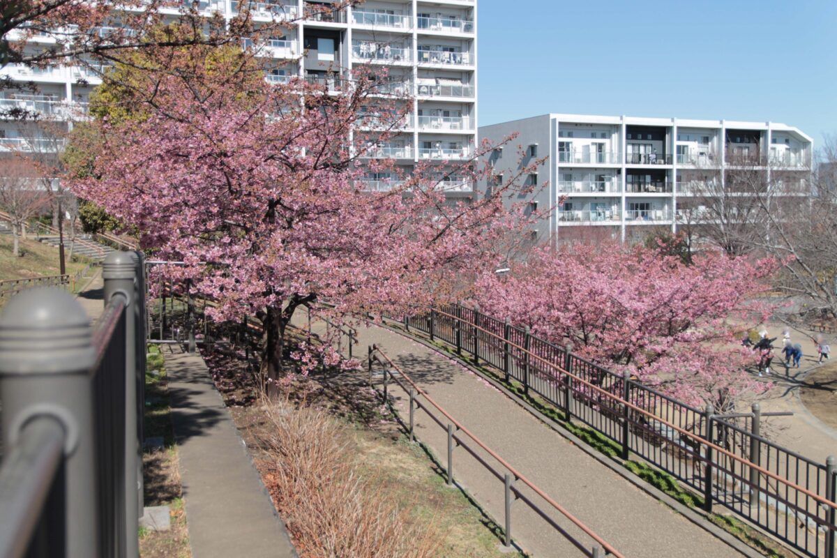 みんなの公園