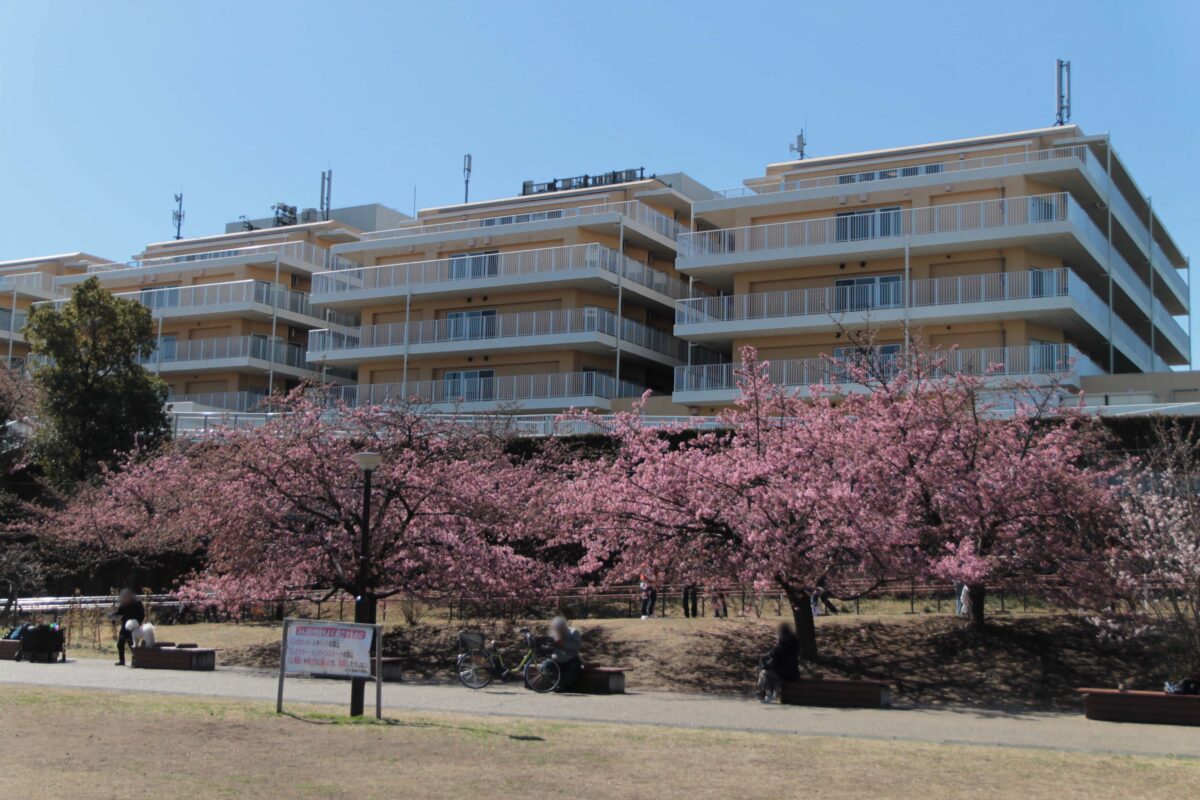 みんなの公園