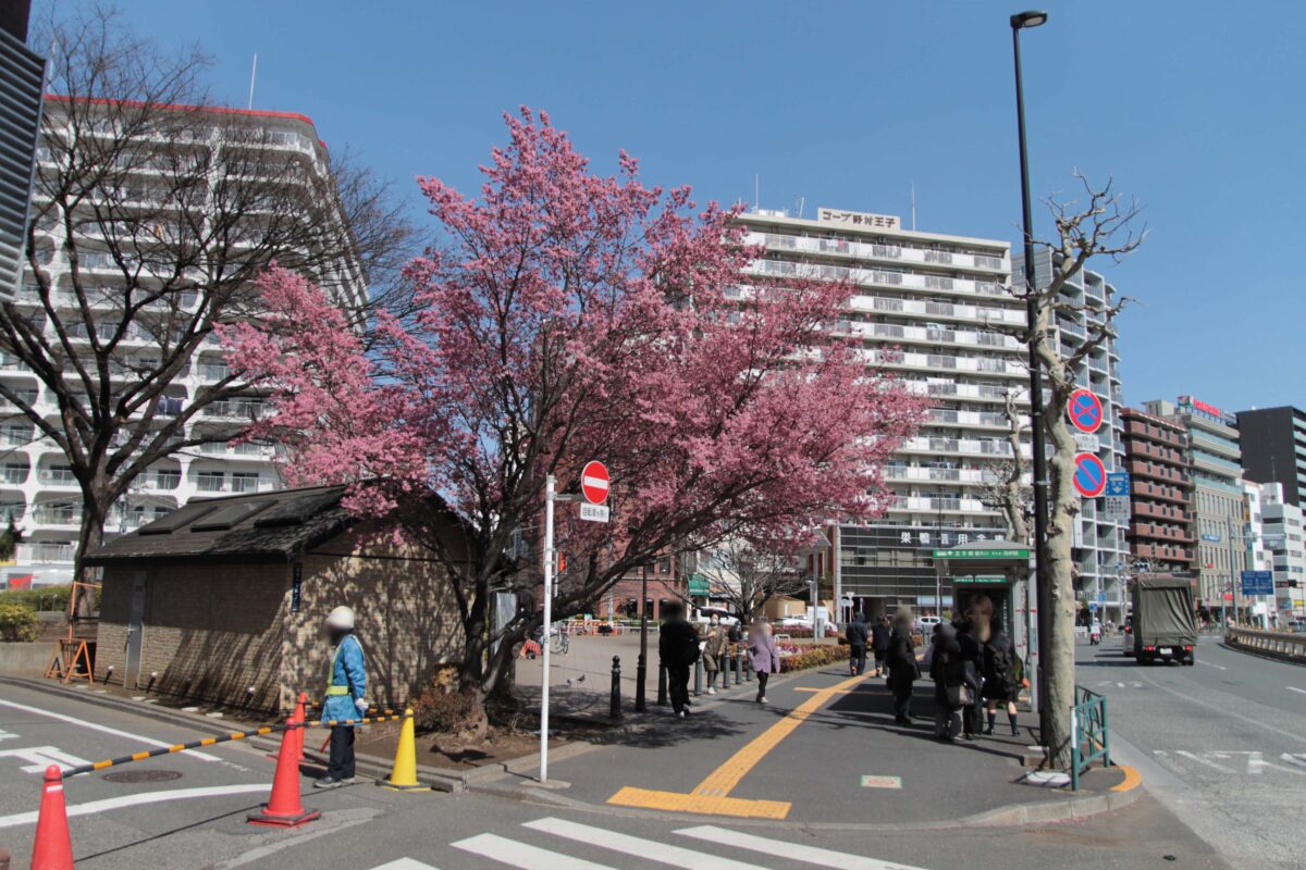 王子駅前公園 