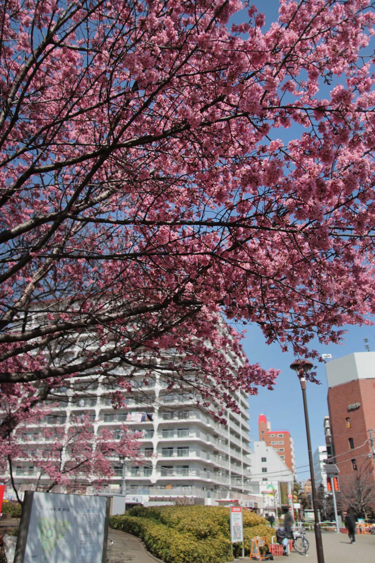 王子駅前公園 